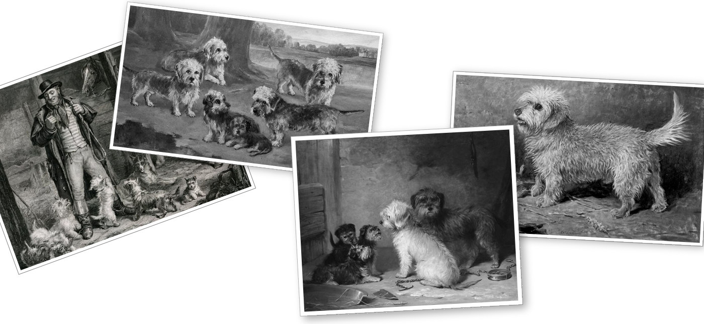 Historical paintings of Dandie Dinmont terriers